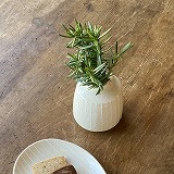 加藤有紀　一輪挿し